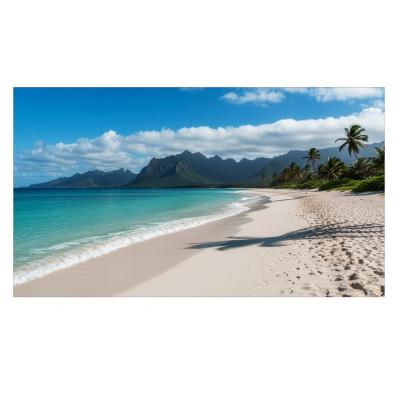 Sharp PNUN553S 55" Video Wall Display