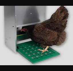 Feedomatic-with-hen1.jpg