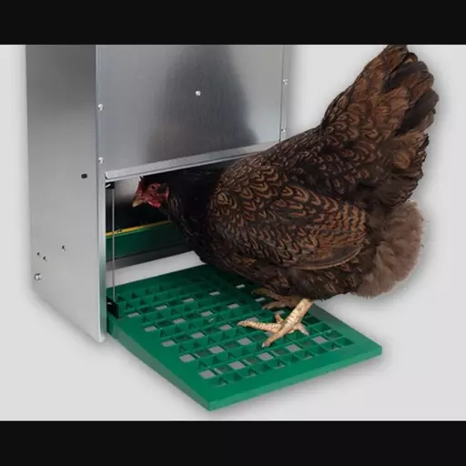 Feedomatic Galvanised Treadle Poultry Feeder