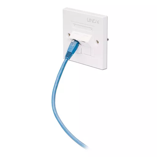Lindy CAT5e Single Wall Plate with 2 x Angled RJ-45 Shuttered Socket, Unshielded