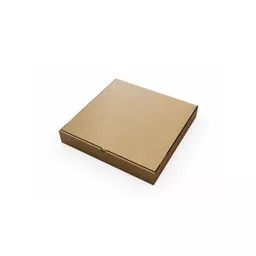 37231 - 9 Plain Brown Pizza Box.jpg