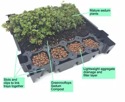 Mr Green Sedum Green Roof Tray Example of Build Up.webp