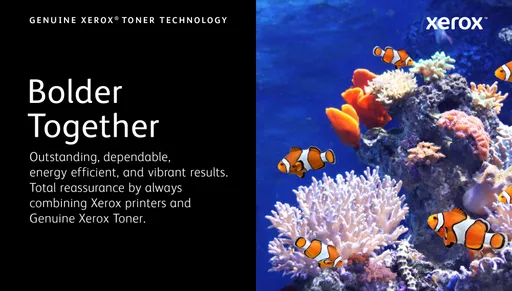 SrDeXkpJfUqCS5wjSImo3g.c-r.jpg?