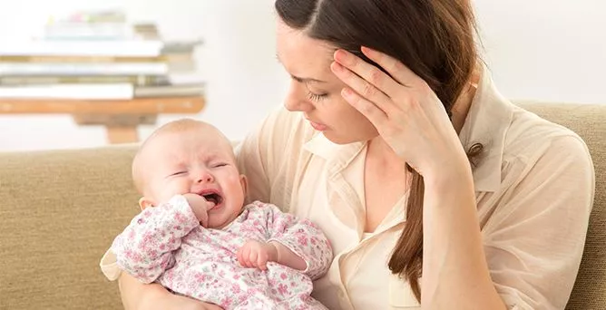 HOW BABY TEETH GROW