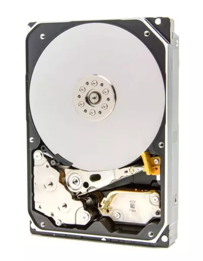 Western Digital Ultrastar DC HC550 3.5" 16 TB Serial ATA III