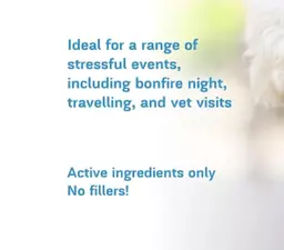 Strong_Calming_Supplement_For_Pets___Stress___Anxiety___Phytopet_UK_–_Phytopet_Ltd.jpg