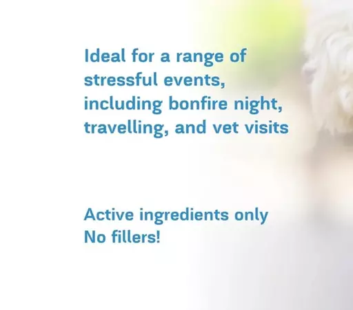 Strong_Calming_Supplement_For_Pets___Stress___Anxiety___Phytopet_UK_–_Phytopet_Ltd.jpg