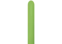 IT252440_1.jpg