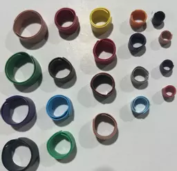 Poultry Leg Rings Flat Band Style Various Sizes And Colours