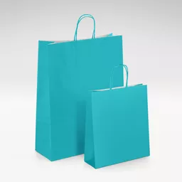 White-kraft-turquoise-twist-bags-GROUP-2.jpg