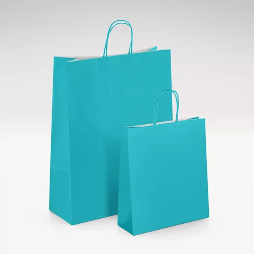 White-kraft-turquoise-twist-bags-GROUP-2.jpg