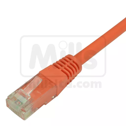 cat6-orange_10.jpg