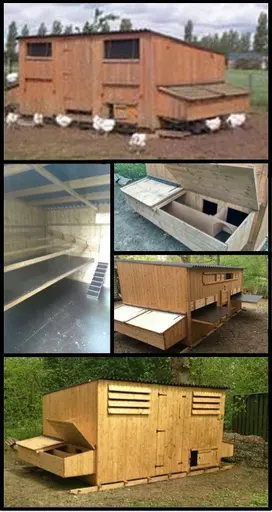 Maxi Poultry Housing
