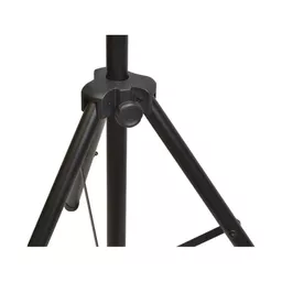 1716211256-46715700.jpg?