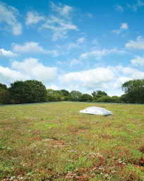 Grufekit-Sedum-Roof-with-skylight.jpg