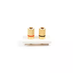 rsz_0_800_ed4ff_white_twin_speaker_solder_euro_module.jpg?