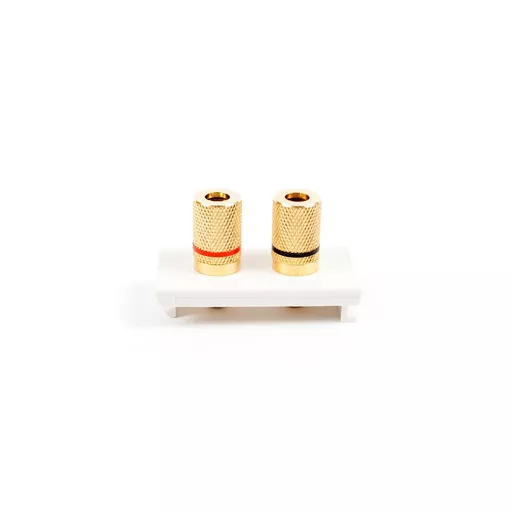 rsz_0_800_ed4ff_white_twin_speaker_solder_euro_module.jpg?