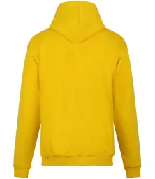 RX350%20YEL%20BACK.jpg?