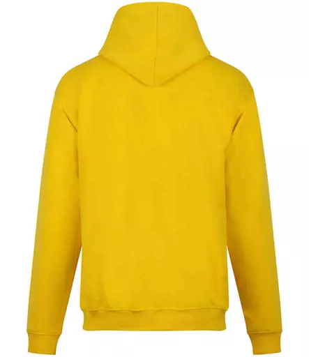 RX350%20YEL%20BACK.jpg?