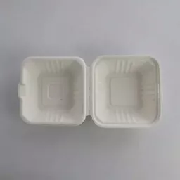 _0000s_0001_6 x 6_ Bagasse Burger Box.jpg