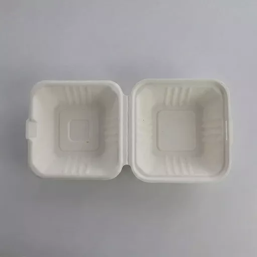 _0000s_0001_6 x 6_ Bagasse Burger Box.jpg