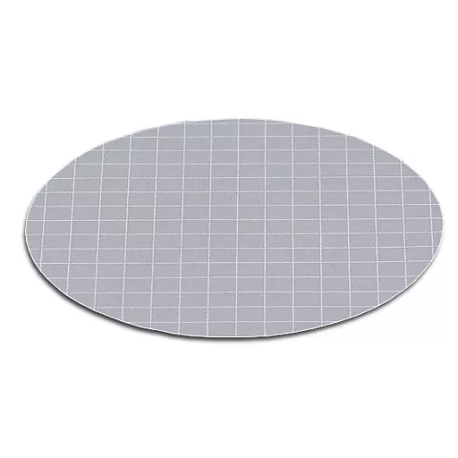 Filters Membrane 0.45um 47mm CN Grey/Blk Grid Pk 100