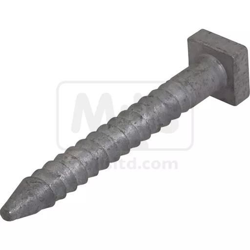 Lag Screw 100mm