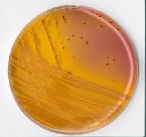 fa35fab4be625cc134a9b907d9dcc2c1.jpg?