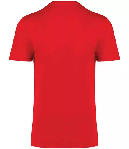 NS314IC%20POP%20BACK.jpg?