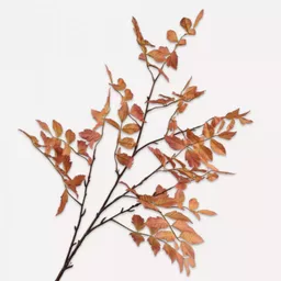 Screenshot 2026-01-28 at 11.32.28.png