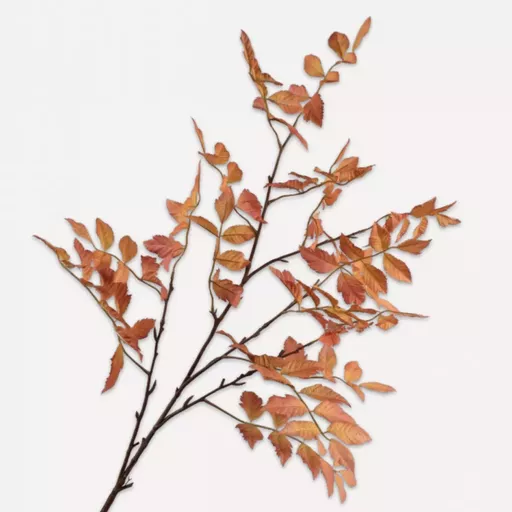 Brown Mahogany Spray Branches