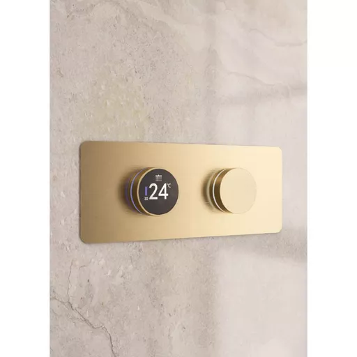 Denali Digital Shower Valve - Brushed Brass