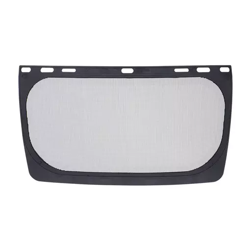 Mesh Visor