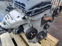 e7de5641-e9ca-49b8-8dca-1d842d68d8a7.jpeg?