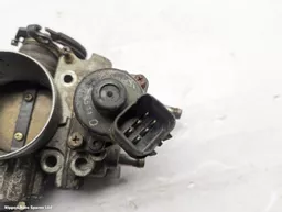 b003e831-1e79-4984-b408-4b4cf4606ddf.jpeg?