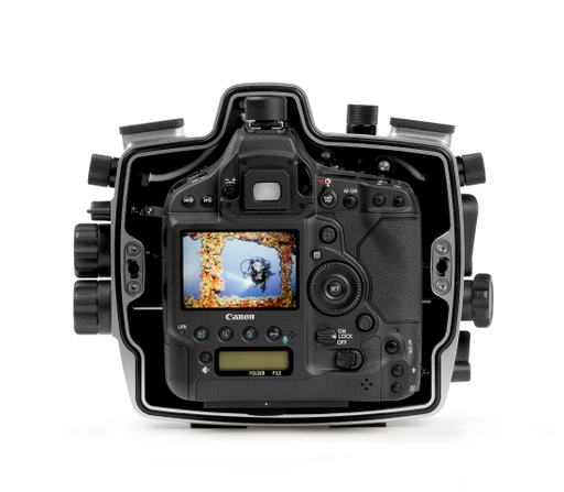 Canon 1D-5.jpg