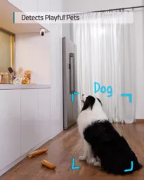 TtZzltKE5Eu7HwVymXBMkQ.c-r.jpg