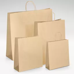 Natural-kraft-unprinted-twist-handle-bag-GROUP.jpg