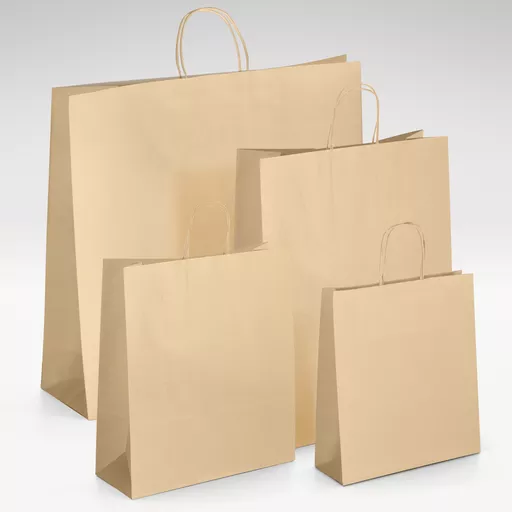 Natural-kraft-unprinted-twist-handle-bag-GROUP.jpg