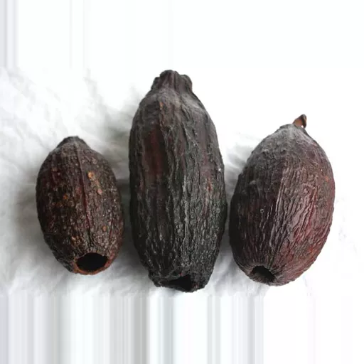 3 x Cocoa Pods