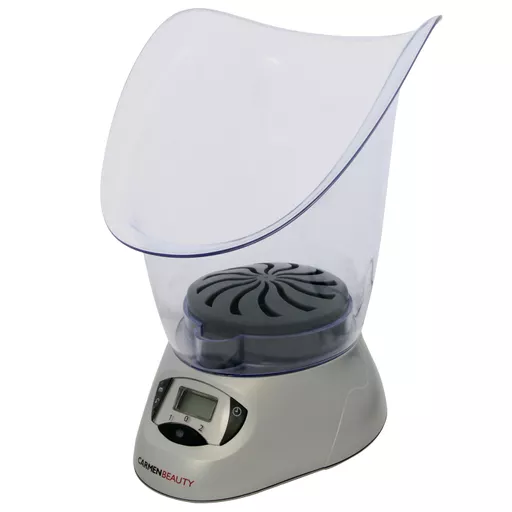 Beauty Facial Sauna