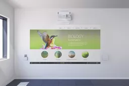 vaPuhqKHv0aMtM7bEtC3bA.c-r.jpg?