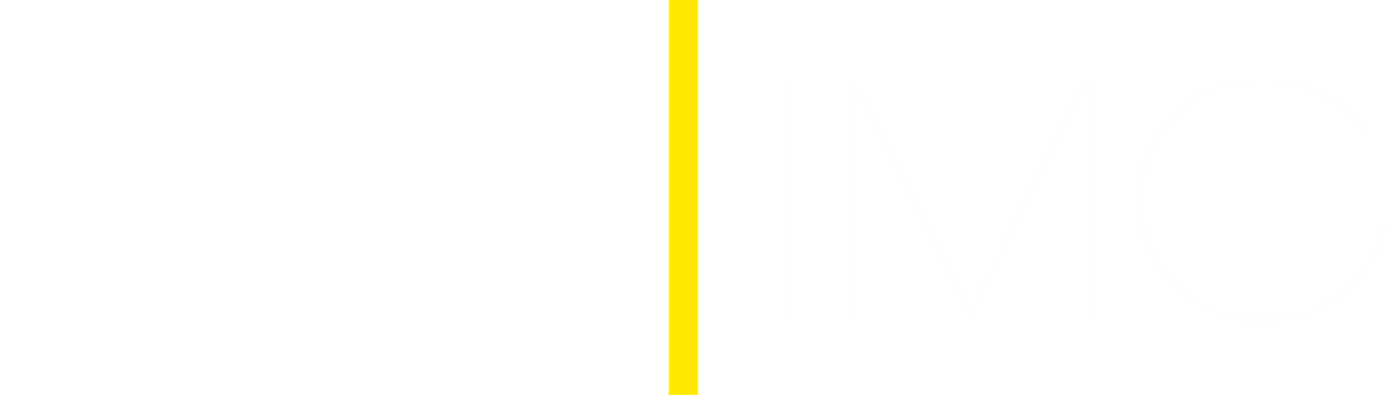 B2BIMG Logo White.png