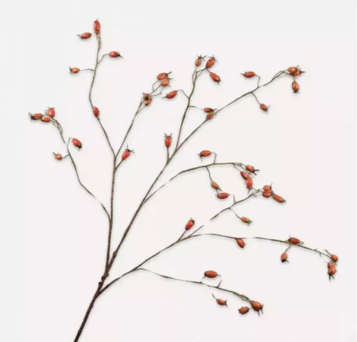 Screenshot 2026-01-28 at 11.40.23.png