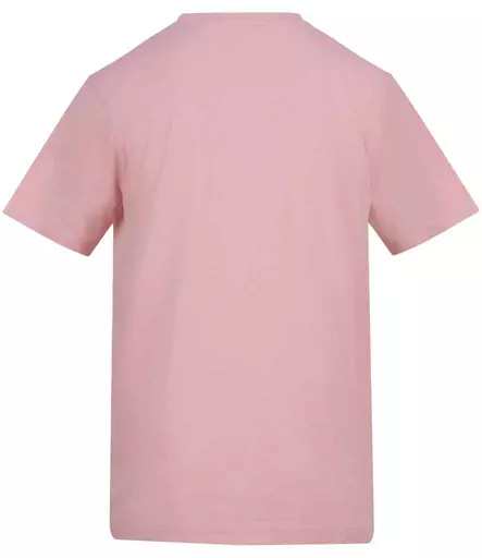 AT002%20BPI%20BACK.jpg?