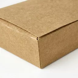 _0000s_0000_Medium Multi Food Box Kraft.jpg