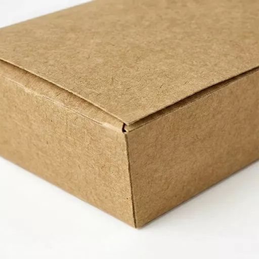 _0000s_0000_Medium Multi Food Box Kraft.jpg