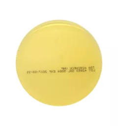 2e1077b075b818dd9b350d8c8d6672b9.jpg?