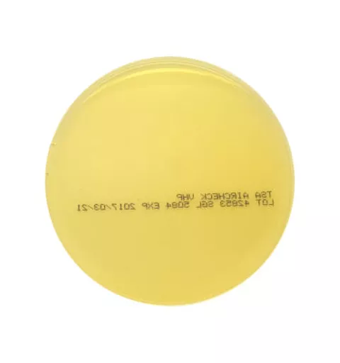 2e1077b075b818dd9b350d8c8d6672b9.jpg?