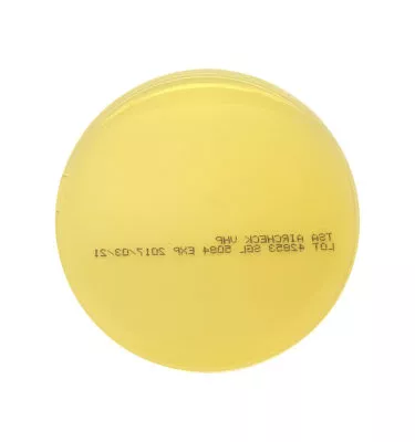 PLATE COUNT AGAR IRRADIATED 90MM 10'S